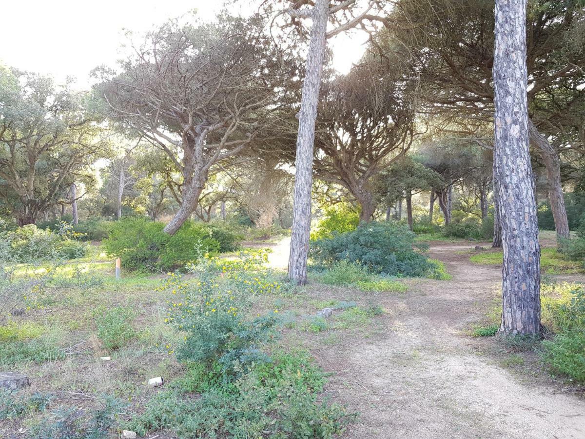 Apartamento Pinar Del Atlantico-La Barrosa Chiclana de la Frontera Dış mekan fotoğraf